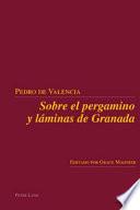 libro Sobre El Pergamino Y Láminas De Granada