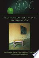 libro Profesorado, Docencia E Investigacion.