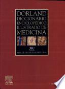 libro Dorland Diccionario Enciclopédico Ilustrado De Medicina