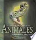 libro La Enciclopedia De Los Animales