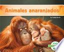 libro Animales Anaranjados