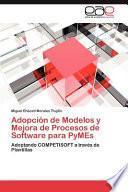 libro Adopción De Modelos Y Mejora De Procesos De Software Para Pymes