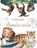 libro Colorear Animales Reales