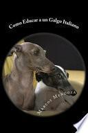 libro Como Educar A Un Galgo Italiano / How To Educate An Italian Greyhound