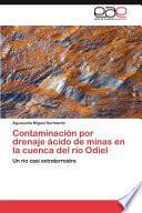 libro Contaminación Por Drenaje Ácido De Minas En La Cuenca Del Río Odiel
