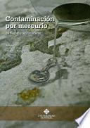 libro Contaminación Por Mercurio En Bogotá Y Su Conurbano