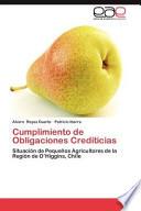 libro Cumplimiento De Obligaciones Crediticias