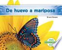 libro De Huevo A Mariposa/ Becoming A Butterfly