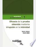 libro Eficacia De La Prueba Obtenida Mediante Irrupción En La Intimidad