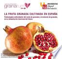 libro La Fruta Granada Cultivada En España Punicalagina Antioxidante Del Zumo De Granada Y El Extracto De Granada En La Alimentación Funcional Del Futuro