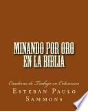 libro Minando Por Oro En La Biblia