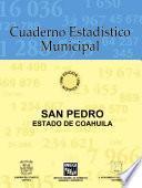 libro San Pedro Estado De Coahuila. Cuaderno Estadístico Municipal 1996