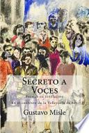 libro Secreto A Voces